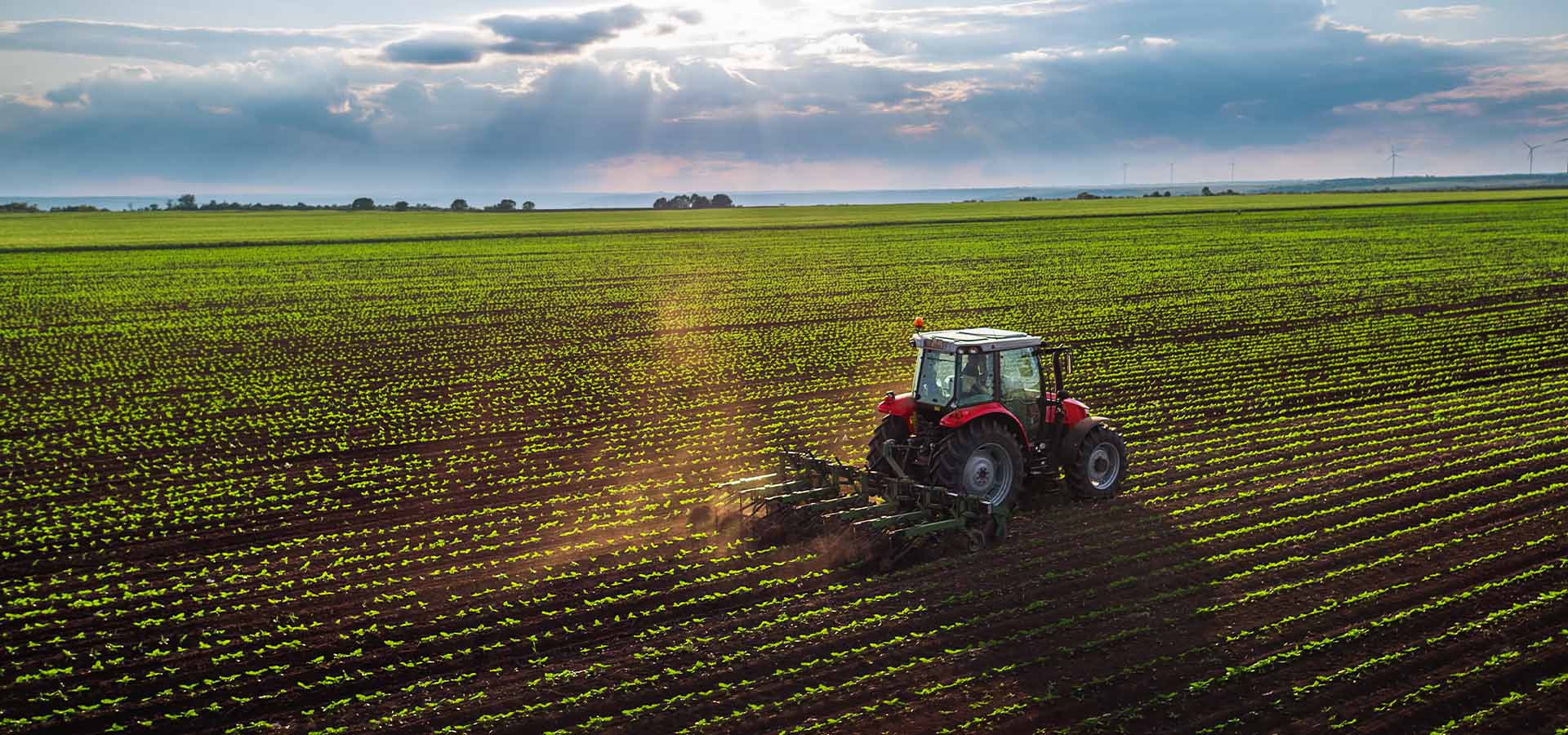 Agricultural & Rural Development